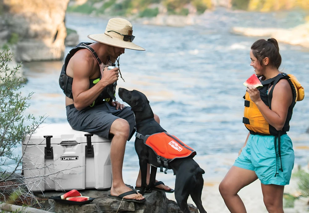 outdoor drinks cooler fridge