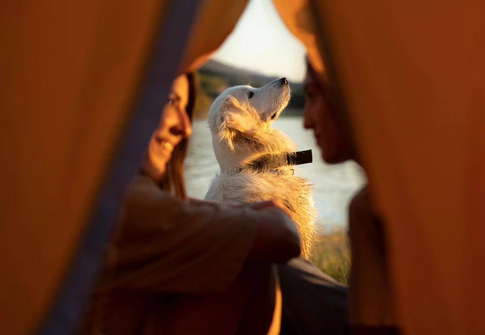 pyramid camping tent