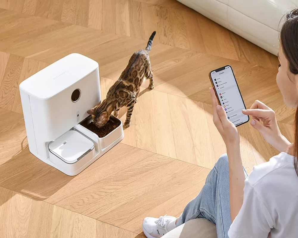 programmable automatic pet feeder