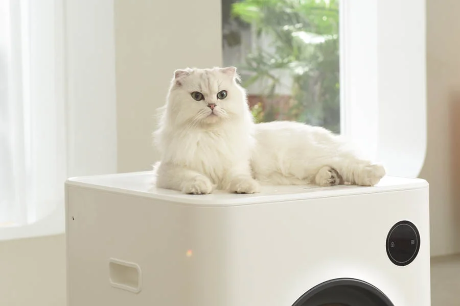 automatic litter box for multiple cats